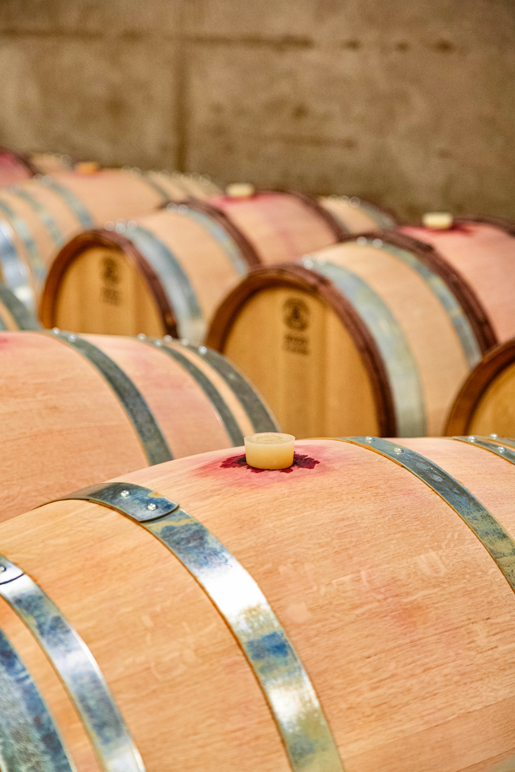 Oak barrels in a wine cellar
