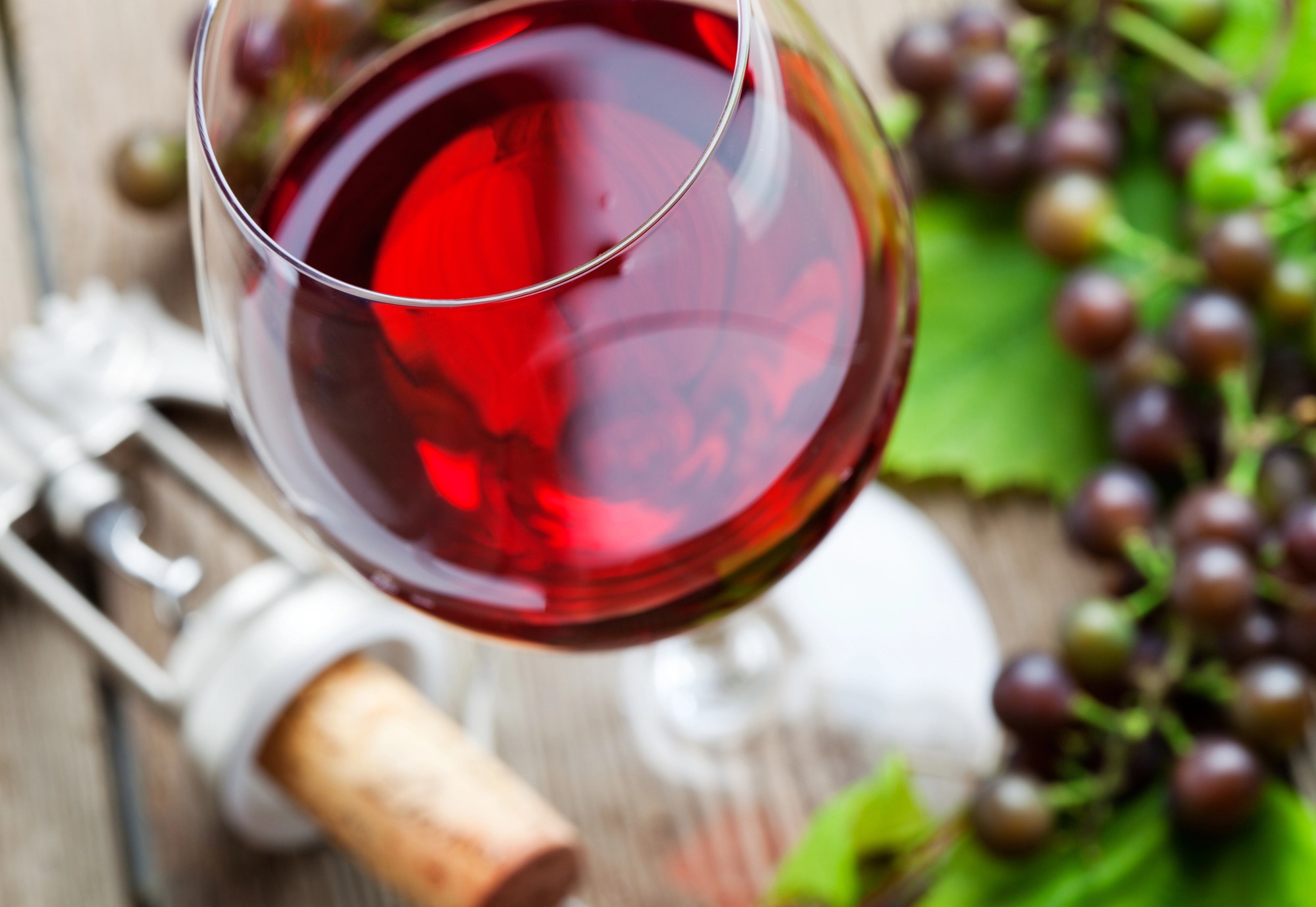 Glass of red wine for Vinovip tastings